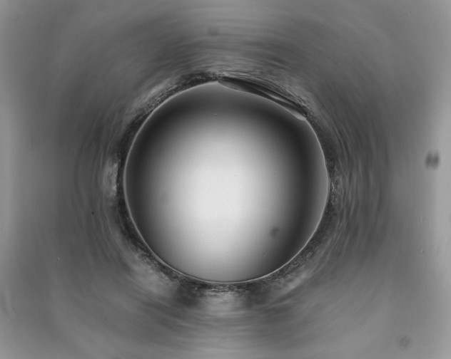 X0000091220454200708091412