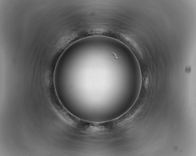 X0000091220455200708091412