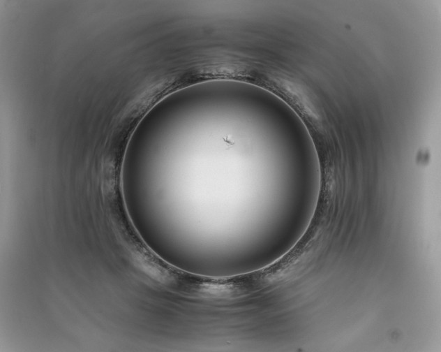 X0000091220457200708091412