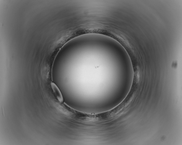 X0000091220458200708091412