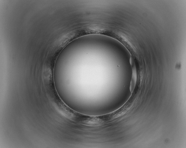 X0000091220459200708091412