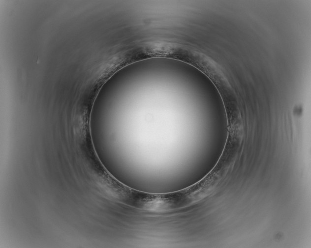 X0000091220460200708091412