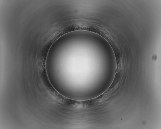 X0000091220464200708091412