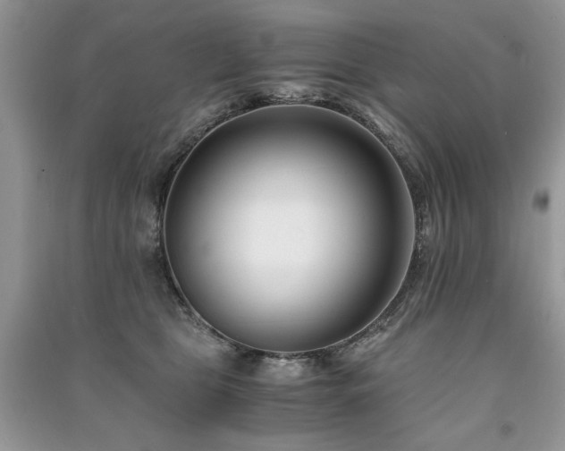 X0000091220469200708091412