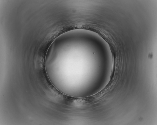 X0000091220470200708091412