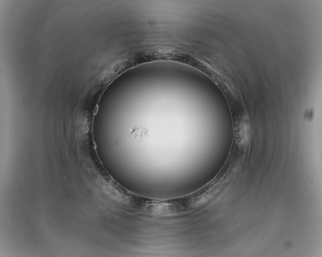 X0000091220472200708091412