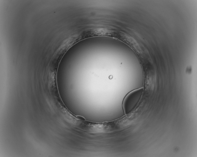 X0000091220473200708091412