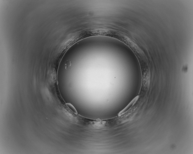 X0000091220474200708091412