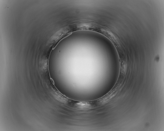 X0000091220477200708091412