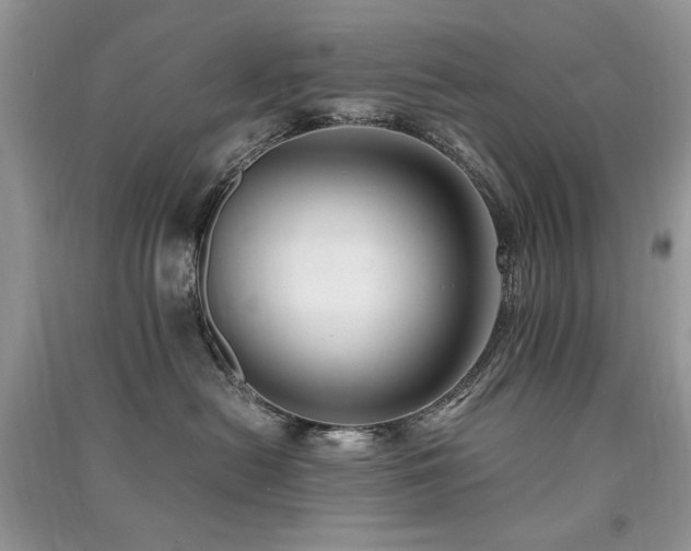 X0000091220478200708091412