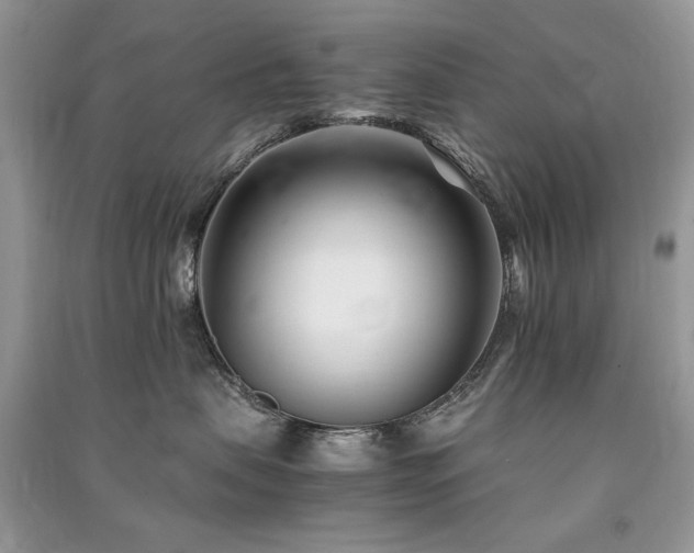 X0000091220479200708091412