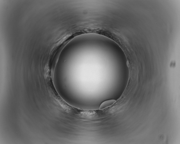 X0000091220480200708091412