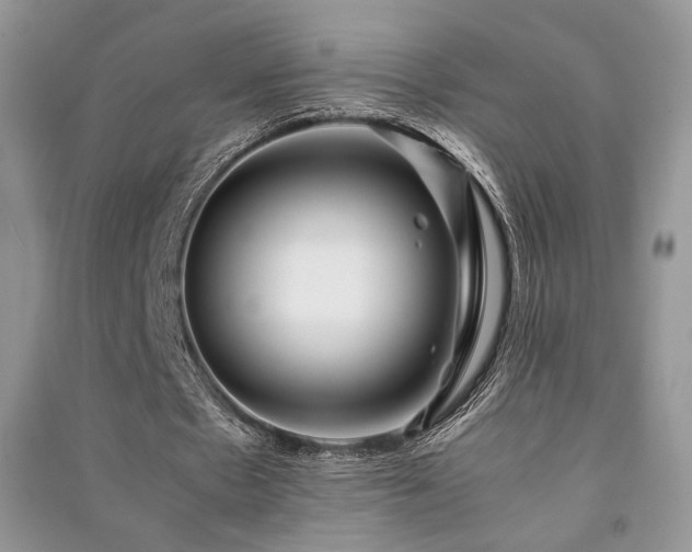 X0000091220481200708091412