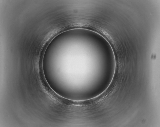 X0000091220482200708091412