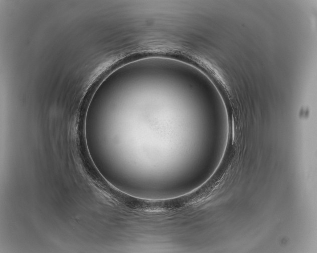 X0000091220483200708091412