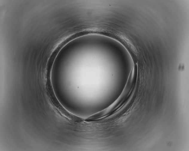 X0000091220484200708091412