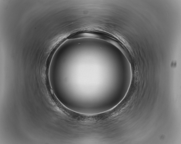 X0000091220485200708091412