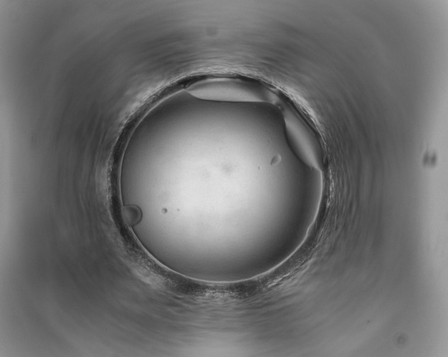 X0000091220487200708091412