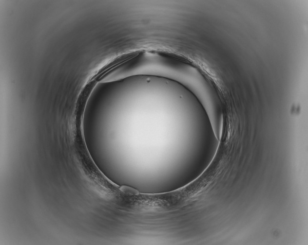 X0000091220488200708091412