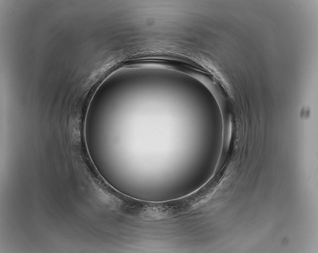 X0000091220489200708091411