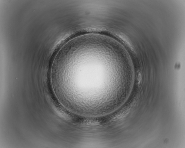 X0000091220491200708091411