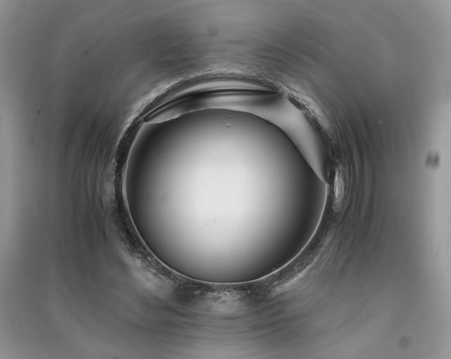 X0000091220492200708091411