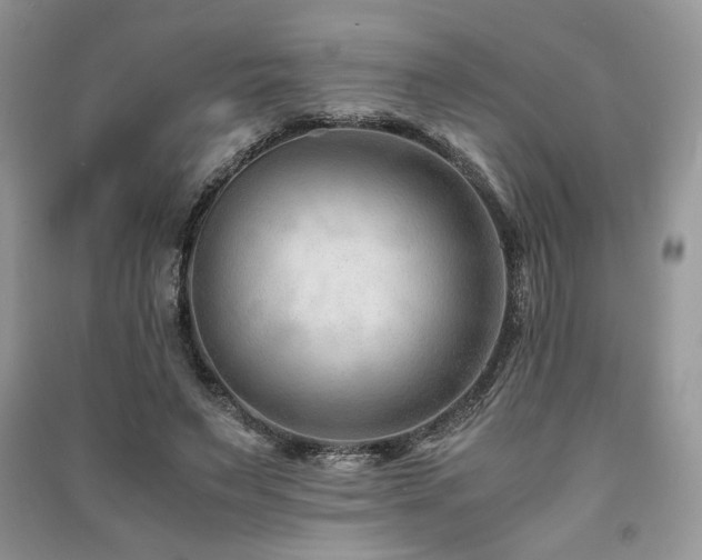 X0000091220495200708091411