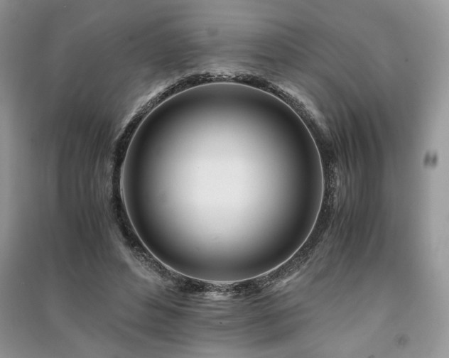 X0000091220496200708091411