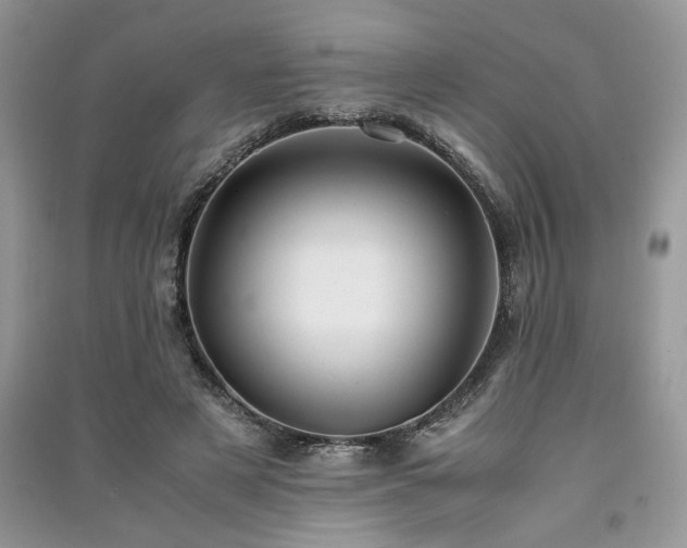 X0000091220497200708091411