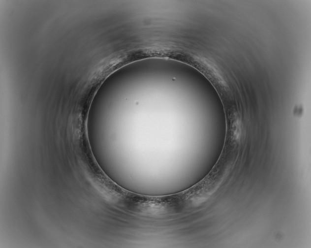 X0000091220498200708091411