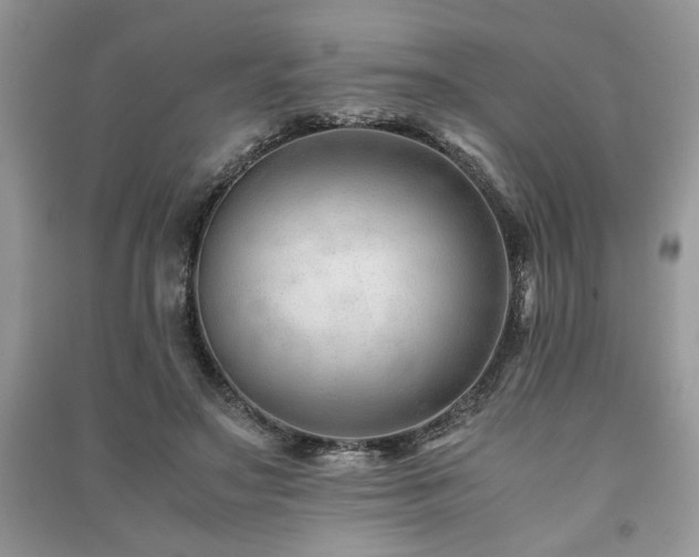 X0000091220499200708091411