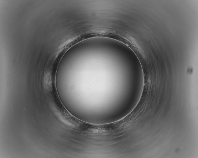 X0000091220500200708091411