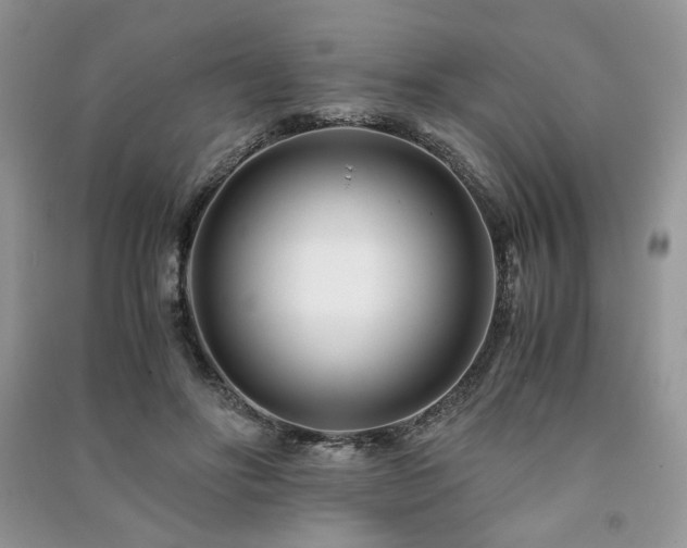 X0000091220502200708091411