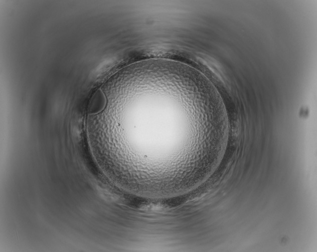 X0000091220503200708091411