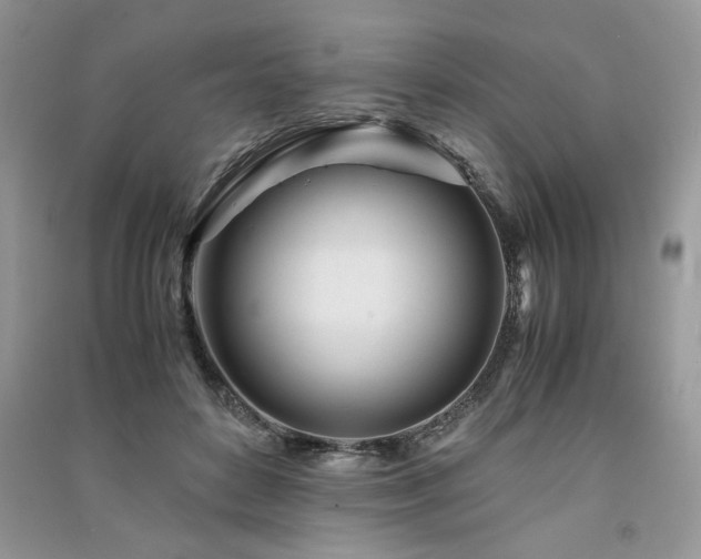 X0000091220504200708091411