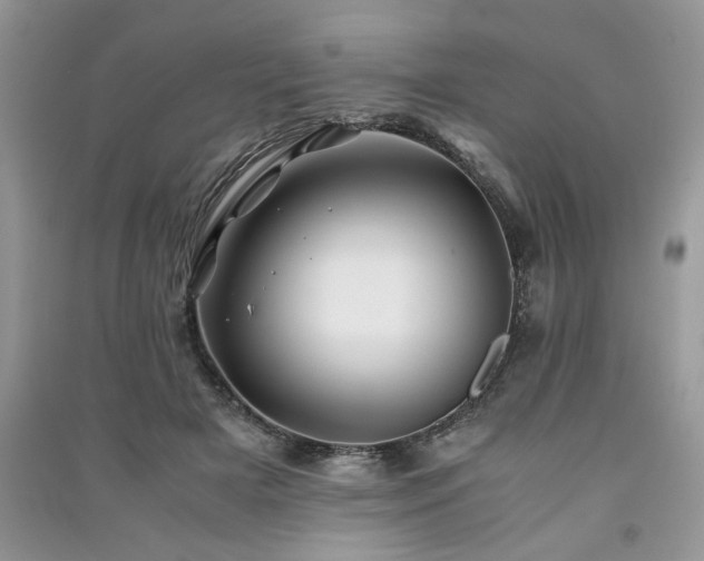 X0000091220505200708091411