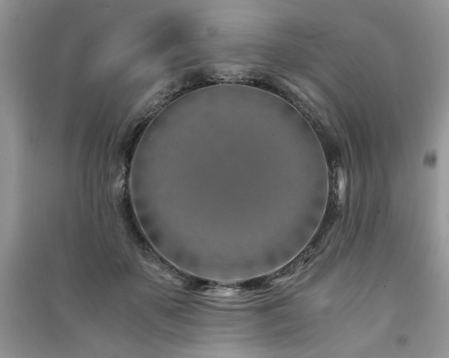 X0000091220507200708091411