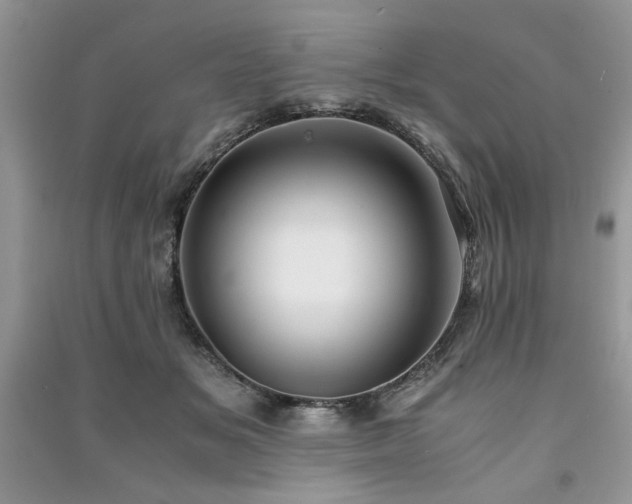 X0000091220509200708091411