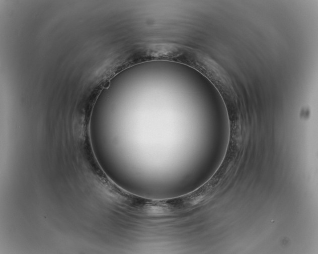 X0000091220510200708091411