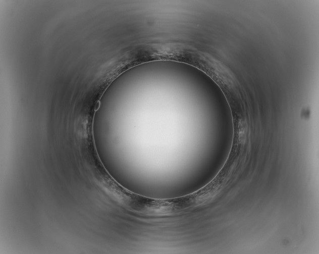 X0000091220514200708091411