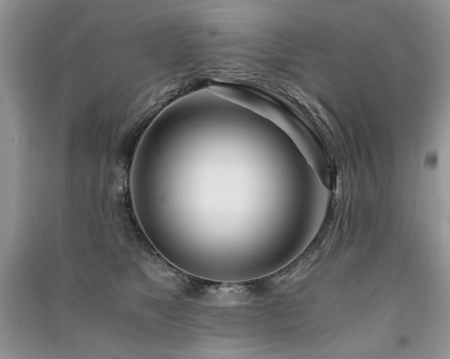 X0000091220517200708091411