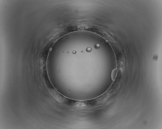 X0000091220519200708091411