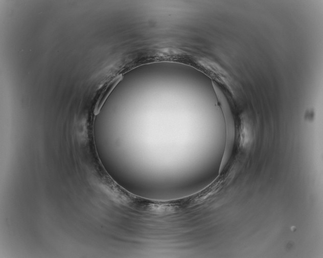 X0000091220520200708091411