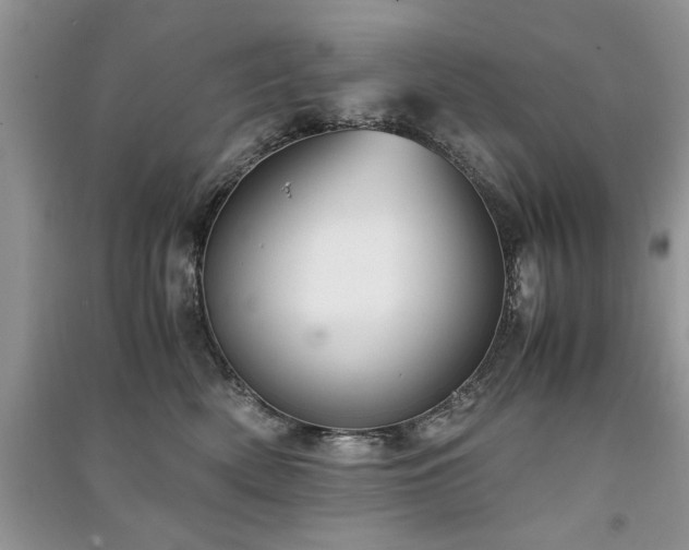 X0000091220522200708091411