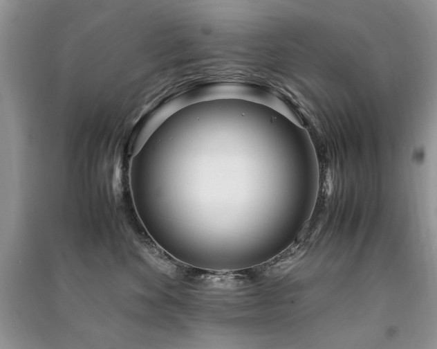 X0000091220524200708091411