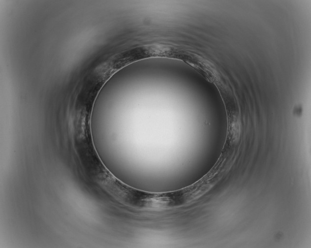 X0000091220525200708091411