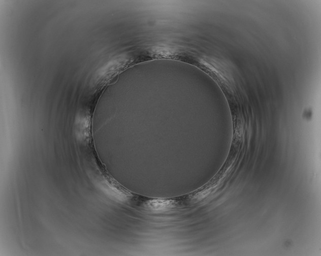 X0000091220526200708091411