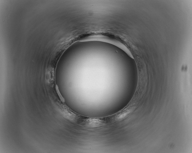 X0000091220528200708091411