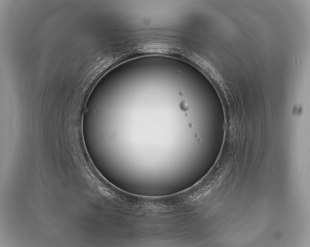 X0000091220529200708091410