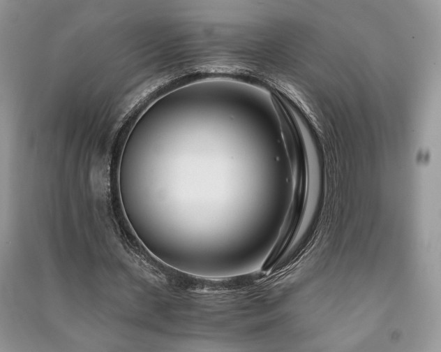 X0000091220531200708091410